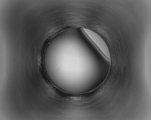 X0000088430693200705220854