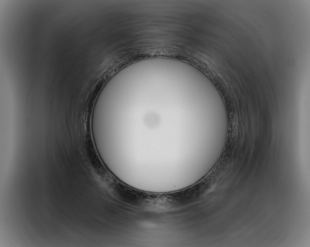 X0000088430695200705220854