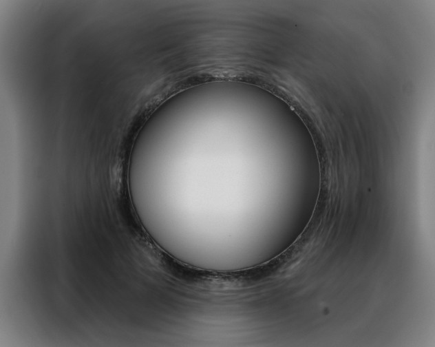 X0000088430697200705220854