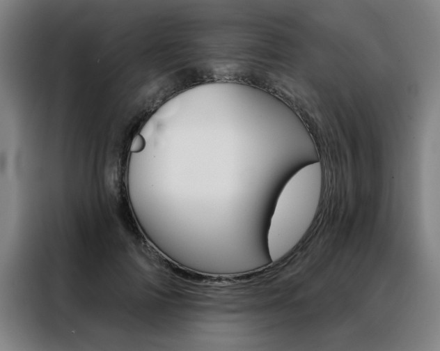 X0000088430698200705220854