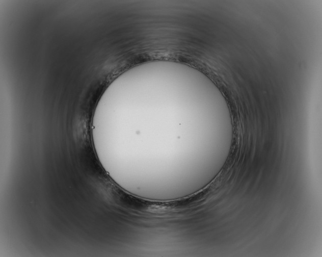 X0000088430699200705220854