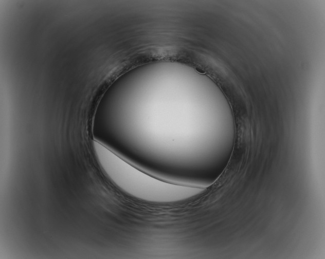 X0000088430700200705220854