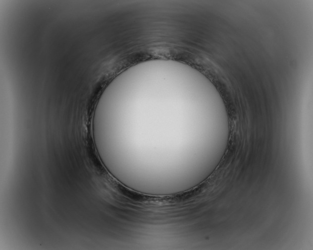 X0000088430702200705220854