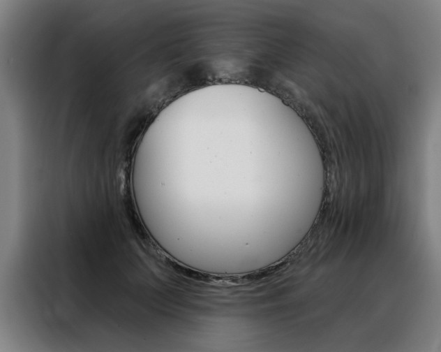 X0000088430703200705220854