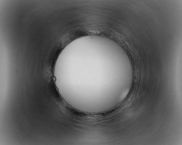 X0000088430707200705220854