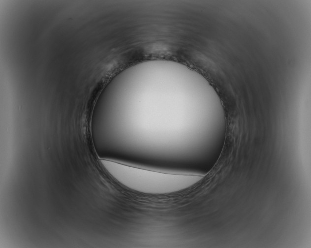 X0000088430708200705220854