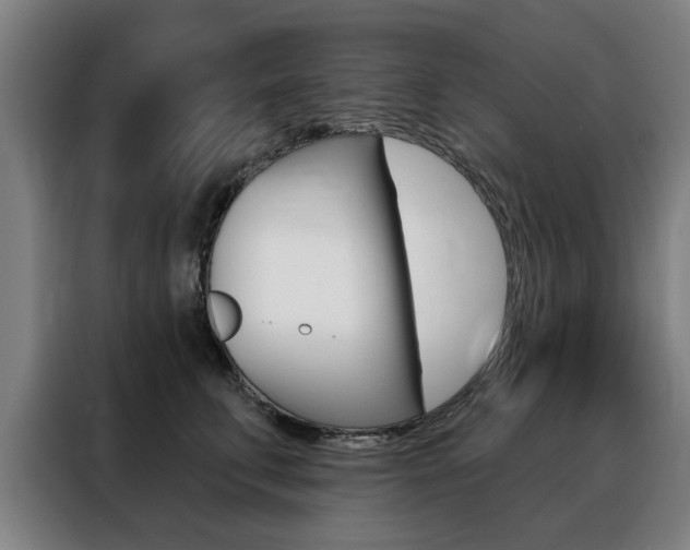 X0000088430711200705220854