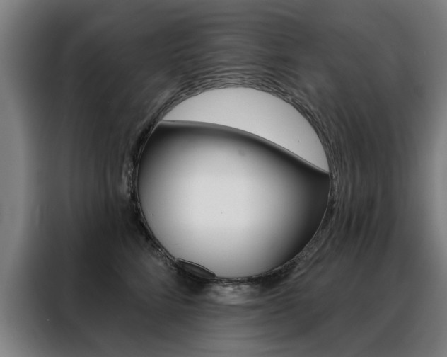X0000088430712200705220854