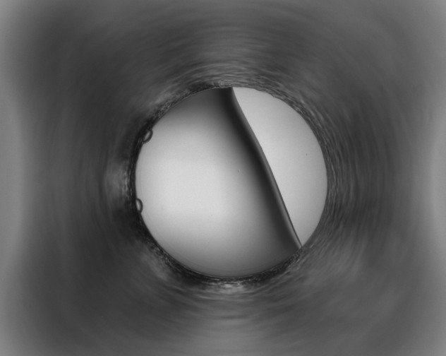 X0000088430715200705220854