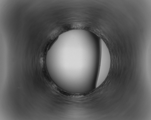 X0000088430716200705220854