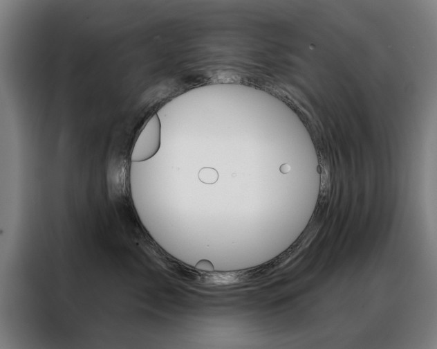 X0000088430717200705220854