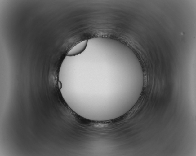 X0000088430718200705220854
