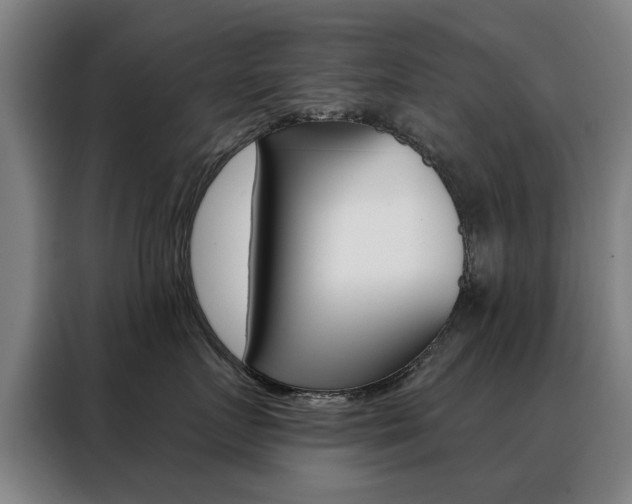 X0000088430719200705220854
