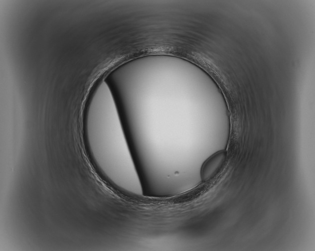 X0000088430721200705220853