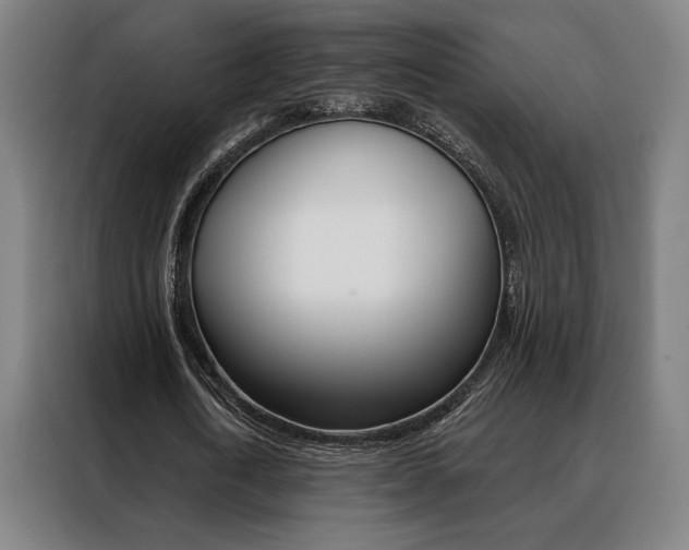 X0000088430722200705220853