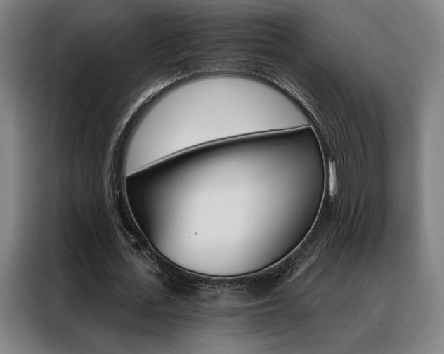 X0000088430723200705220853
