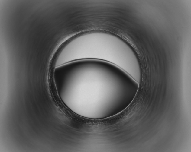 X0000088430724200705220853