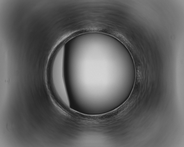 X0000088430726200705220853