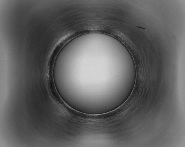 X0000088430727200705220853