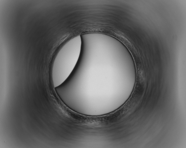 X0000088430729200705220853