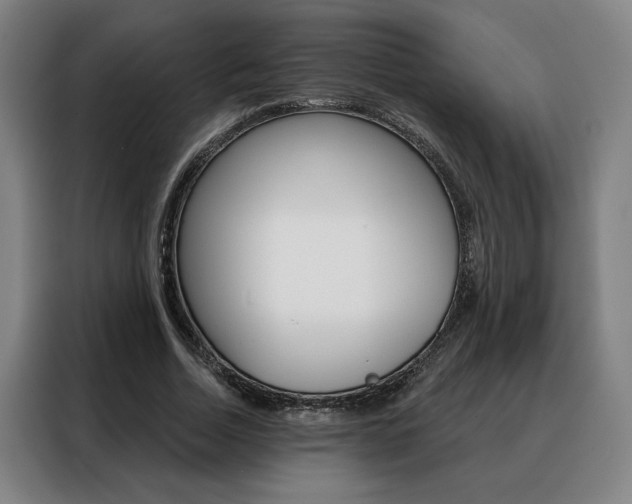 X0000088430730200705220853