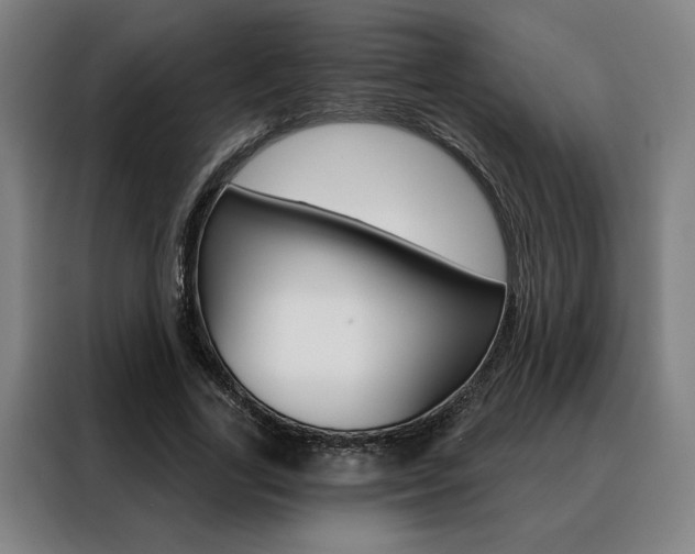 X0000088430731200705220853