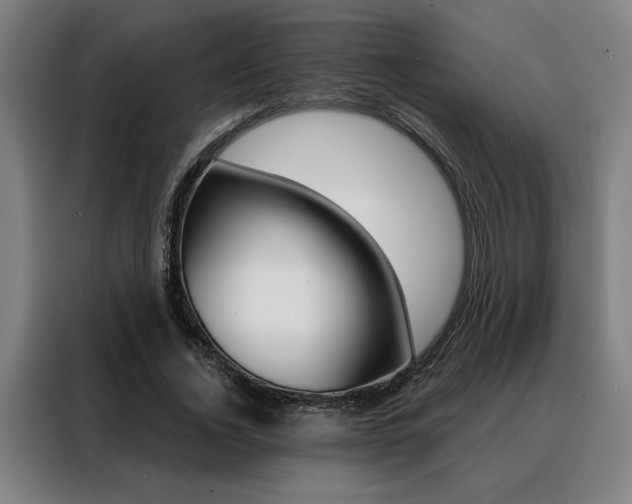 X0000088430732200705220853