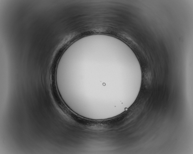 X0000088430734200705220853