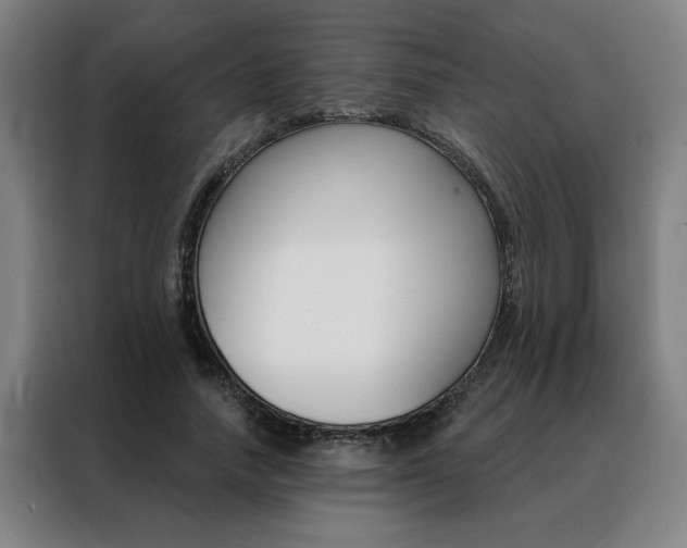 X0000088430738200705220853