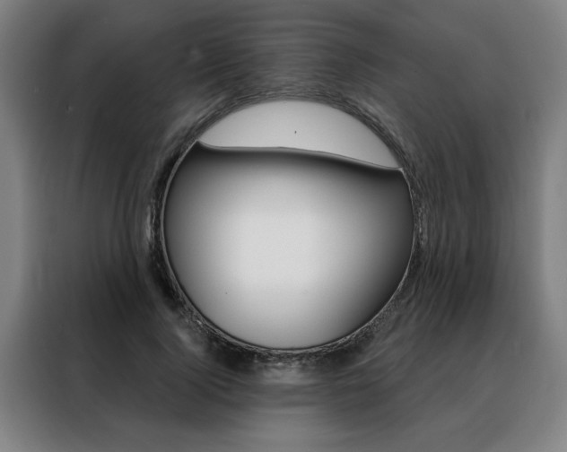 X0000088430740200705220853