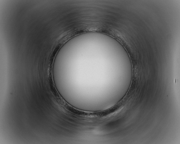X0000088430741200705220853