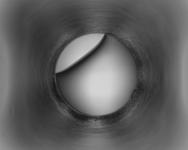 X0000088430742200705220853