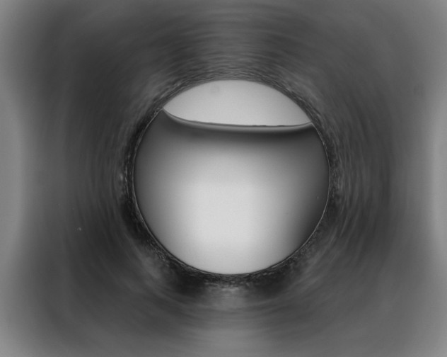 X0000088430743200705220853
