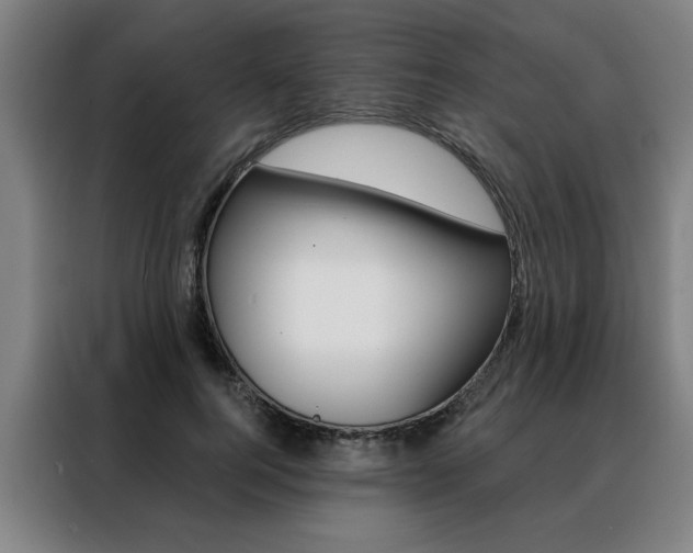 X0000088430744200705220853