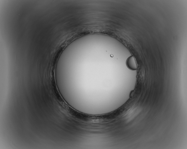 X0000088430746200705220853