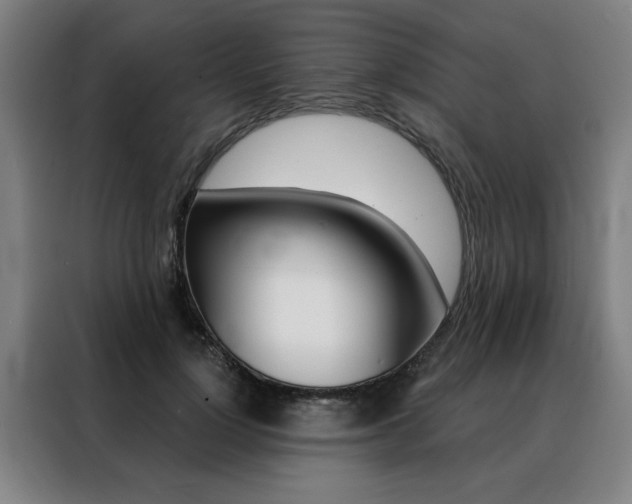 X0000088430748200705220853