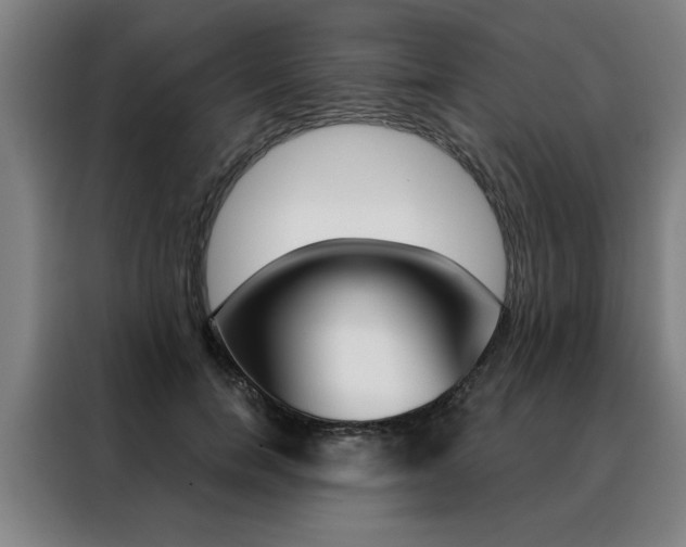X0000088430750200705220854