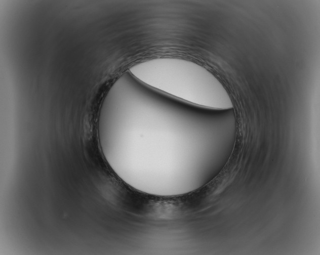 X0000088430751200705220854