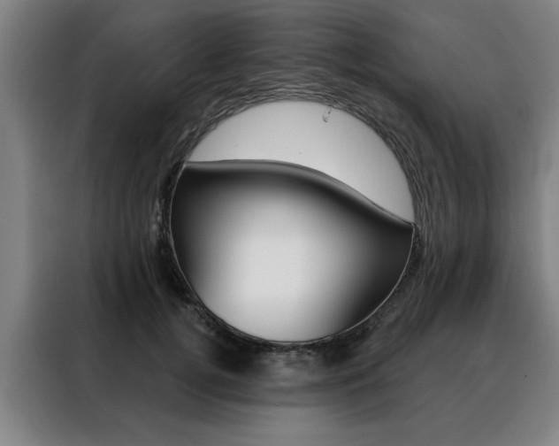 X0000088430752200705220854