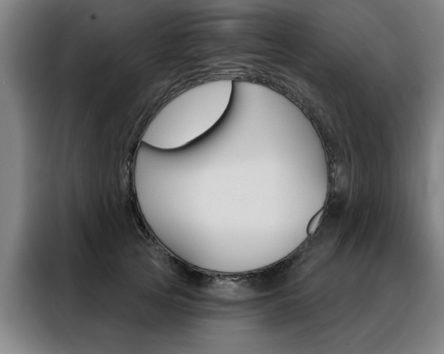 X0000088430753200705220854
