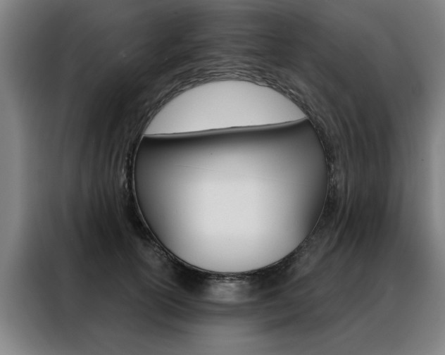 X0000088430754200705220854