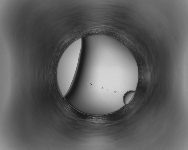 X0000088430758200705220854