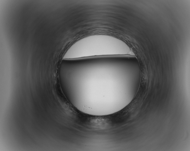 X0000088430759200705220854