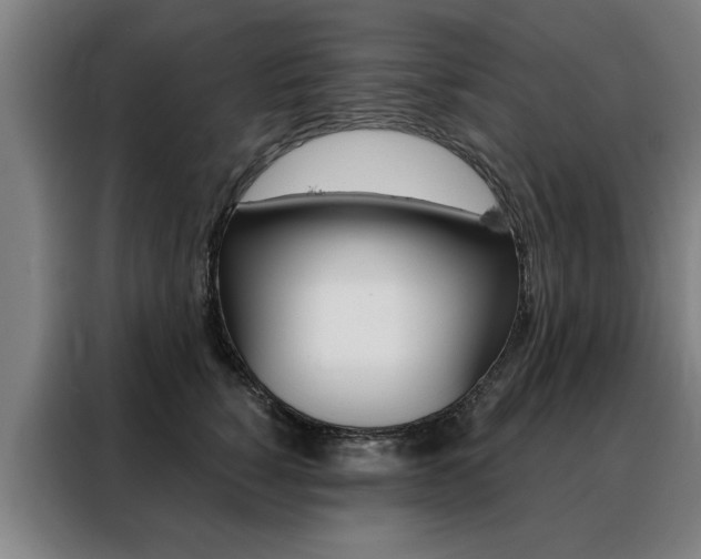 X0000088430760200705220854