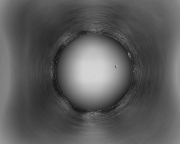 X0000088430762200705220854