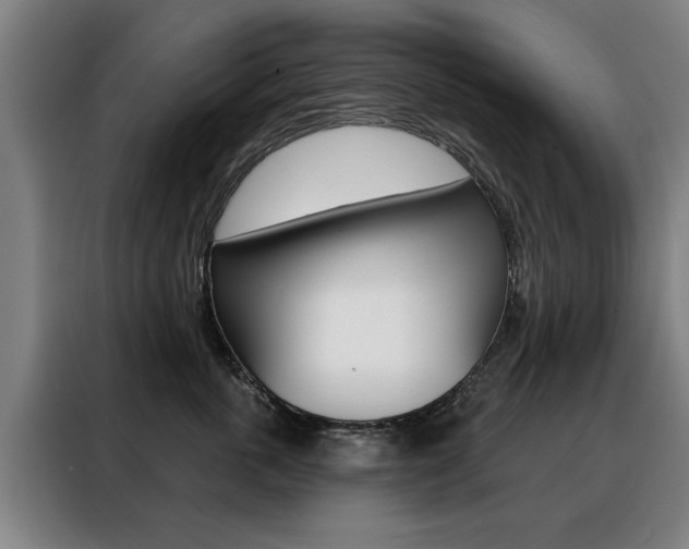 X0000088430763200705220854