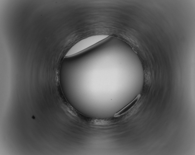 X0000088430766200705220854