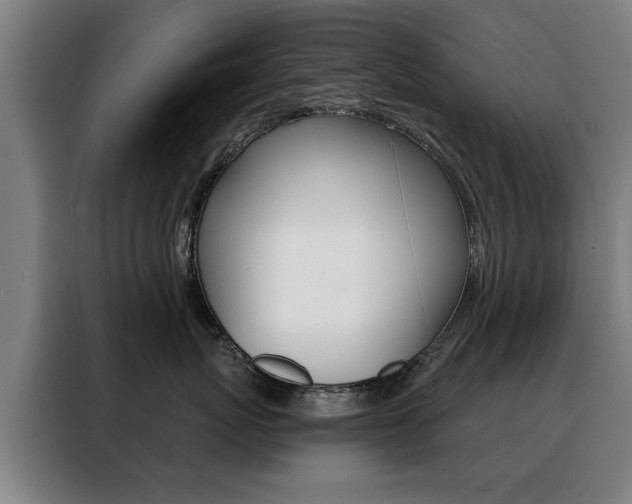 X0000088430767200705220854