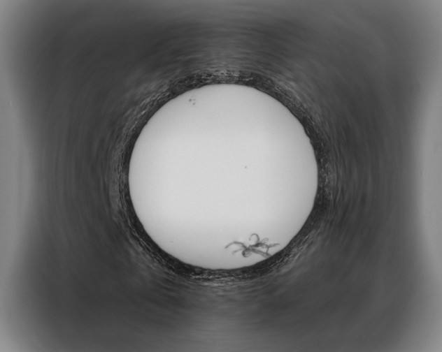 X0000088430769200705220853