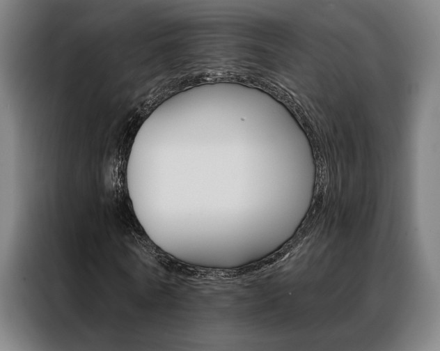 X0000088430770200705220853